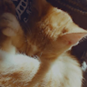 Meet your Posher, Kali